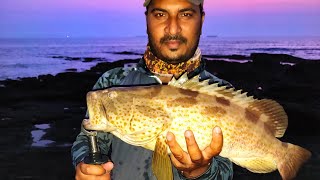 Bait Fishing #Grouper Fishing#Using Squid as a Bait