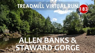 Treadmill Virtual Run 183: Allen Banks and Staward Gorge, Northumberland, UK