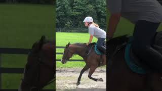 Horse back riding