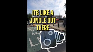 It's Like A Jungle out There pathways & Enforcement Cameras #ulez #lez #edinburgh #scotland