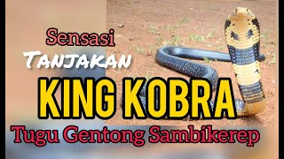 Sensasi Tanjakan King Kobra di patung Genthong Bantul.