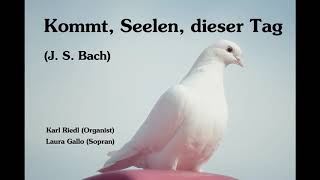 Bach -  Kommt, Seelen, dieser Tag (Orgel/Sopran)