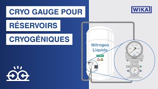 WIKA Cryo Gauge pour la mesure du niveau de réservoirs cryogéniques