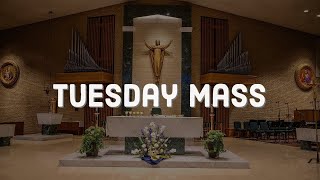 Tuesday Mass 10/15/24