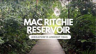 MacRitchie Reservoir Trail Guide