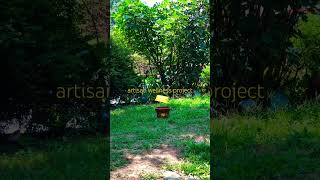 homemade disc golf basket: using a empty flower pot #dailyshorts #video