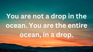 You are not a drop in the ocean. You are the entire ocean, in a drop.