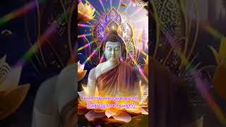 သက်ရှိ သတ်တဝါများအားလုံးနှင့် လူသားများအားလုံး နှလုံးစိတ်ဝမ်း အေးချမ်းကြစေ🙏 မေတာပို့ဆုတောင်း🙏🙏🙏