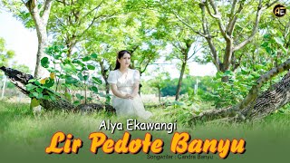 ALYA EKAWANGI - LIR PEDOTE BANYU