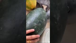 Golden watermelon 😋 #shorts #youtubeshorts #ytshorts #viralshorts #food #trendingshorts