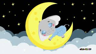 ✨Sleep Music for Babies 🌙 Baby Sleep Music ♥ Lullaby for Babies 🌙 Musica para dormir bebés #273