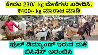 ಕೇವಲ ₹230/- kg ಮೇಕೆಗಳು ಖರೀದಿಸಿ ₹400/- ರೂ ಕೆಜಿ ಮಾರಾಟ ಮಾಡಿ ಹೋಲ್ಸೇಲ್ ಮೇಕೆಗಳ ಮಾರಾಟ | sirohi goat farming