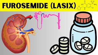 Furosemide - Indications, Mechanism Of Action, Pharmacology, Adverse Effects, And Contraindications