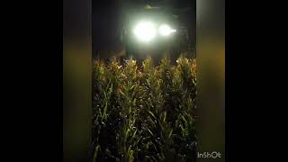 Johndeere x9combine harvester #viral #viralvideo #viralshort #farm #farming #farmer #johndeere