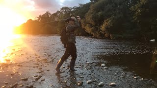 Pescaria de trutas na cidade de York primeira parte. Manchester fishing canal Pike Perch