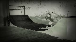 Half pipe tricks