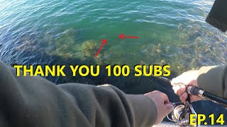 Thankyou 100 Subscribers + What Happens Next...