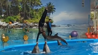 Дельфинарий в Минске. Полная программа. Максометр.  Беларусь.  Dolphinarium