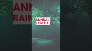 🌧️☔Monsoon Magic! Unveiling Mawsynram, India's WETTEST Place on Earth! #shorts  #viral  #viralshorts