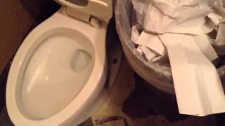 16. Double Flushing Kohler Wellworth toilet