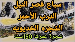 سباع قصر النيل والشجرة الخديويه(شجرة الزمالك) وأسم الدرب الأحمر .