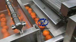 Fruit washer/Orange washing and polishing machine