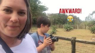 Family holiday to South Africa: Part 3