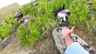 This is Macho Talash : One of the ancient village in Lower dir : Also know Masaga : #pakistan