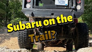 WHY is there a Subaru on the trail? | Tacoma offroading @ Flat Nasty offroad park