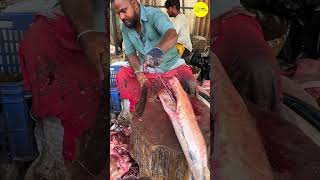 KASIMEDU FISH CUTTING VIDEO \ cutting focus #bigfishcutting #bigfish #fishcuttingworld #shots