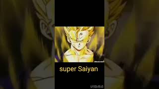 Gohan Forms