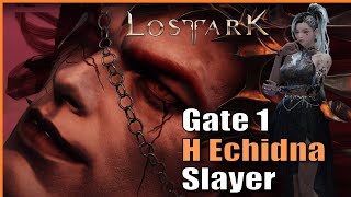 In the Big Leagues Now. Hard Echidna Gate 1 (Punisher Slayer) | Lost Ark