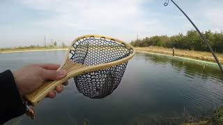 კალმახი ხელნაკეთ სატყუარაზე🇬🇪🇬🇪ALFA LURES🇬🇪🇬🇪Handmade