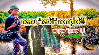 Tes umpan yang katanya"GacoR"!!! //nemu rezki NomploK//casting ikan gabus.