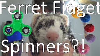 Ferret Fidget Spinners!?