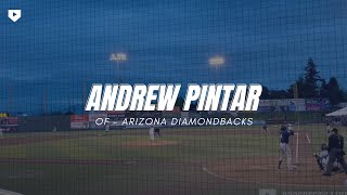 Andrew Pintar - OF Arizona Diamondbacks