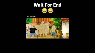 Doge meme new funny 😂😂vedio