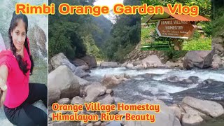 #vlog #travel Rimbi Orange Garden In Pelling|Orange Village Homestay|Sikkim Travel Vlog Hindi