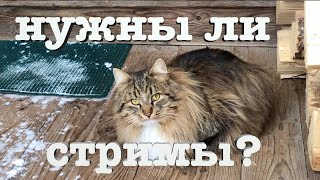 #40. Ответы на вопросы. Продолжение. [Жизнь на своей земле]