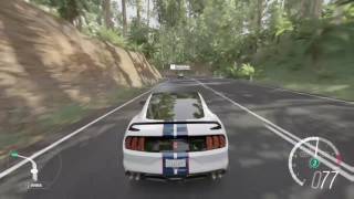 Forza Horizon 3 | Shelby GT350R Cruising