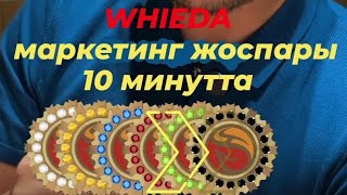 📣 WHIEDA МАРКЕТИНГ ЖОСПАРЫ 10 минутта (ҚАЗАҚ ТІЛІНДЕ)