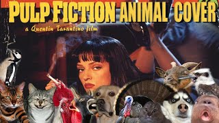 Misirlou (Pulp Fiction Theme) [Animal Cover]