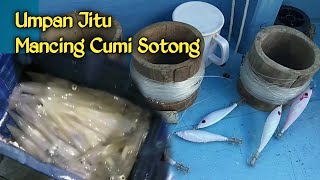 Dengan Cara ini, Mancing Cumi Sotong full Strike