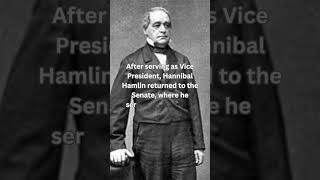 Hannibal Hamlin, Later Career