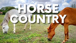 Horse Country Miami | Kendall, FL Neighborhood Of Estates & Farmland