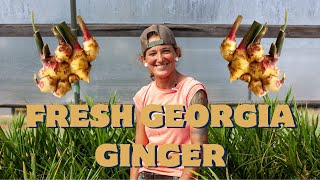 Fresh Georgia Ginger