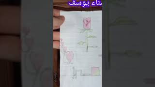 صوت يريح القلوب شركة معاكم تنظيف المطبخ تنظيف الغميق