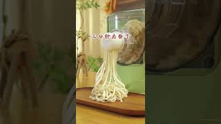 Automatic Pasta Maker, Electric Noodle Maker Machine, Noodle Press Machine with 8 Molds