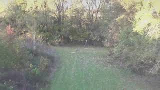 Food Plot Success