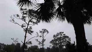 Hurricane Irma in Boca Raton